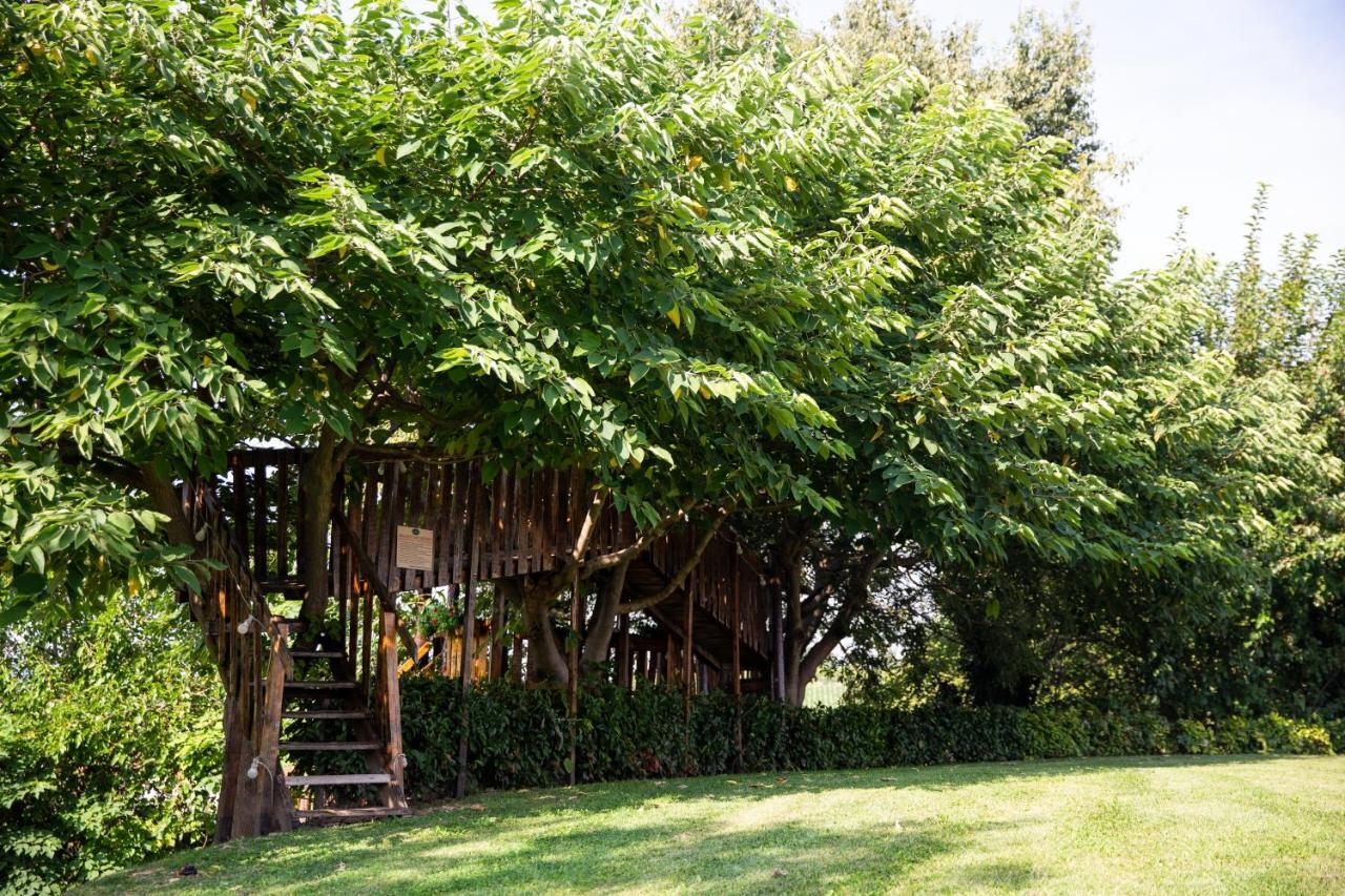 Agriturismo Ca' Vecia Castelnuovo del Garda Ngoại thất bức ảnh
